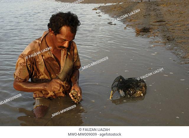 A man collecting oysters in lambada village Aceh Besar, Indonesia September 09, 2007