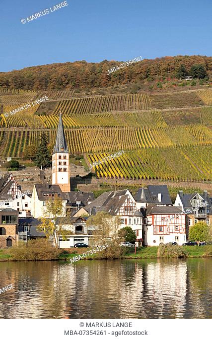 District Merl with vineyards, Zell an der Mosel, Rhineland-Palatinate, Germany