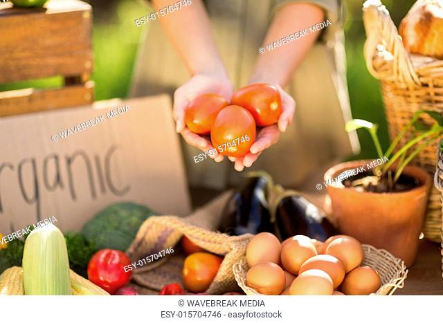 Woman hands showing three tomatoes