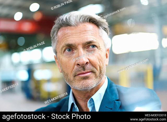 Portrait of a serious mature businessman in a factory