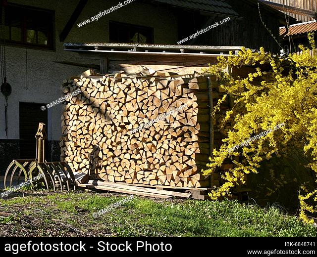 Firewood, firewood neatly stacked under a roof