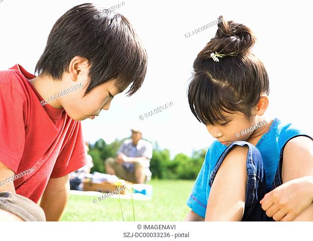 Children looking at flower
