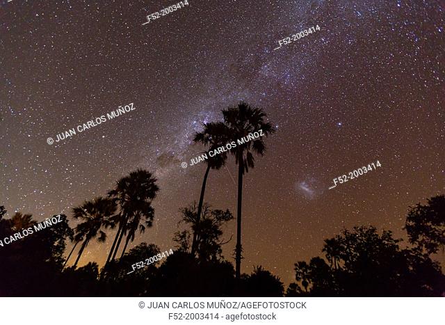 Stars and Sky, Okavango Delta, Botswana, Africa