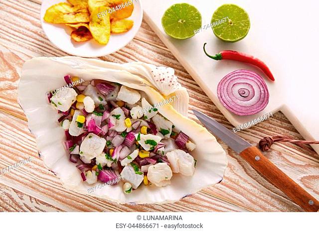 Ceviche peruvian recipe with fried banana and ingredients on wooden table