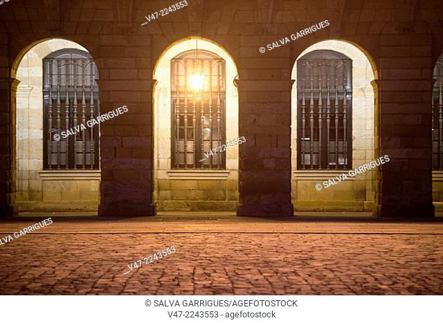 Columns of the facade of the City of Santiago de Compostela, A Coruña, Galicia, Spain
