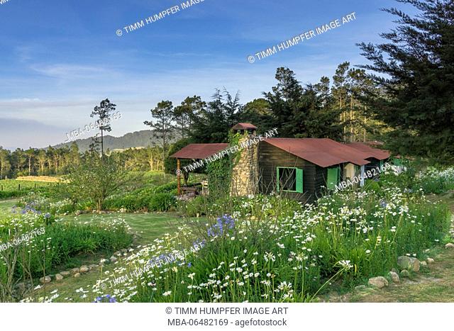 The Greater Antilles, the Caribbean, the Dominican Republic, Constanza, easy mountain hut in the national park Valle Nuevo