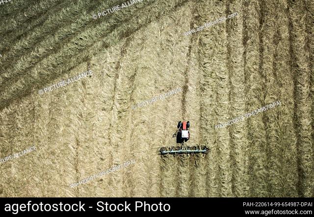 13 June 2022, Baden-Wuerttemberg, Rottweil: A farmer drives a tractor in a field and swathes hay. Photo: Silas Stein/. - Rottweil/Baden-Wuerttemberg/Germany