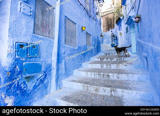 Chefchaouen, -Chauen-, Morocco, North Africa, African continent