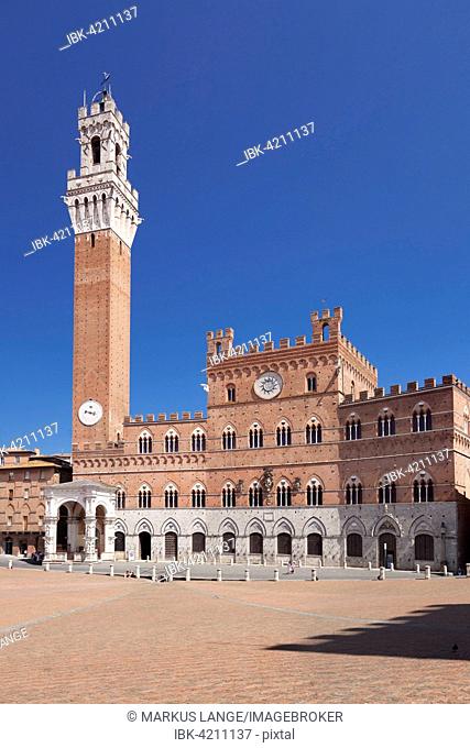 Piazza del Campo with city hall Palazzo Pubblico and Torre del Mangia, UNESCO World Heritage Site, Siena, Tuscany, Italy