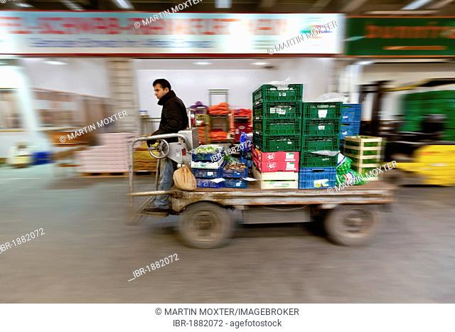 A lift truck carrying goods in a wholesale for fresh produce, fruits and vegetables, Frankfurt, Hesse, Germany, Europe