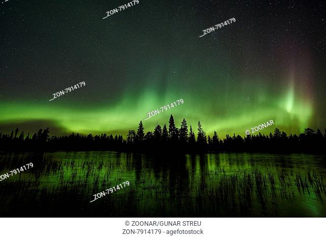 Nordlicht (Aurora borealis), Muddus Nationalpark, Welterbe Lapnia, Norrbotten, Lappland, Schweden, Oktober 2015