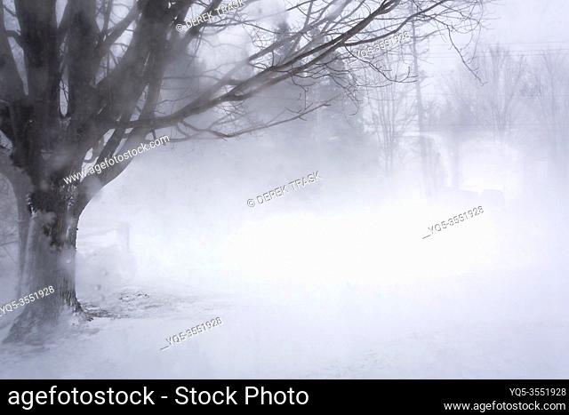 blowing snow and strong winds, Meaford; Ontario; Canada