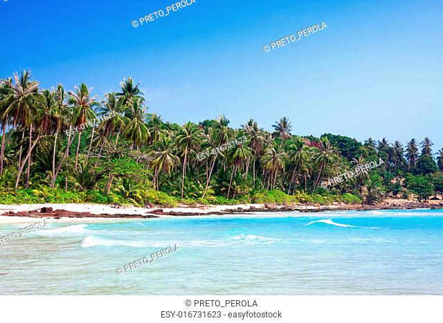 Tropical white sand beach with palm trees. Koh Kood, Thailand
