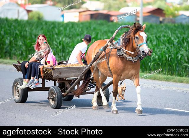 Belarus, Gomel region, July 17, 2020 Belarusian village. A horse with a cart is carrying people along an asphalt road
