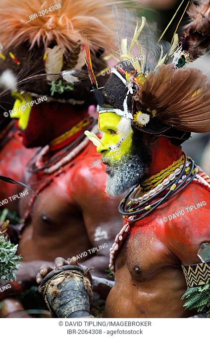 Huli Wigmen from the Tari Valley in the Southern Highlands, wearing bird of paradise feathers and plumes, at a Sing-sing, Mt Hagen, Papua New Guinea, Oceania