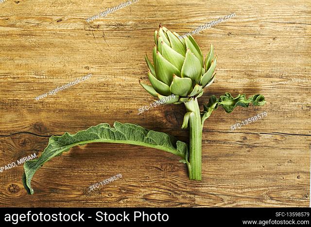Fresh artichoke on a wooden background