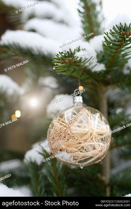 Illustrative photo of Christmas decorations on a snowy coniferous tree. (CTK Photo/Petr Malina)