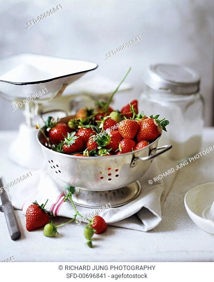 Fresh Strawberries in a Colander with Sugar in a Scale