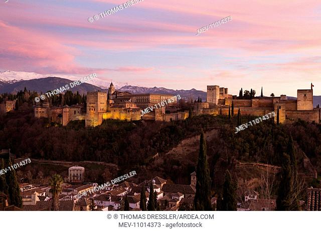 Alhambra Palace - illuminated at dusk - on the right the Alcazaba (Moorish castle) - in the foreground the Albaicin - Granada's characteristic Moorish quarter -...