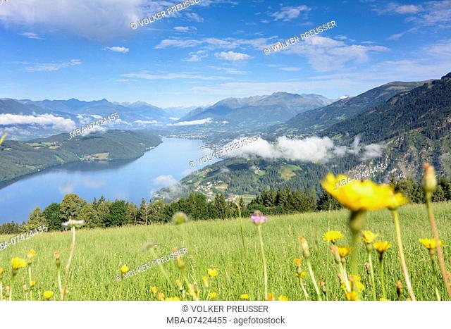 Millstätter See, Lake Millstatt, view to Lake Millstatt, flowers, Kärnten, Carinthia, Austria