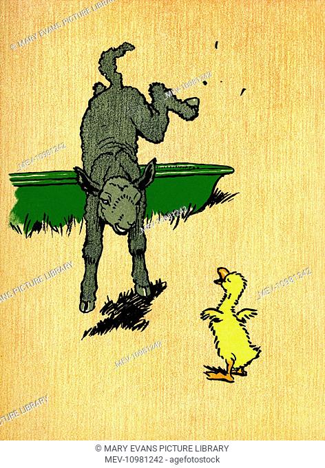 Illustration by Cecil Aldin, Farm Babies. Decimus Duckling meets a lamb in a field and suggests they play a game. He tries to kick up his heels in imitation of...