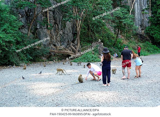 04 March 2019, Thailand, Takua Thung: Tourists feed macaque monkeys at Wat Suwan Kuha, also known as Wat Tham (""cave temple"")