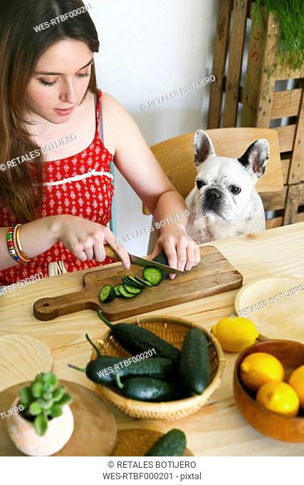 French bulldog watching woman cutting cucumber on table