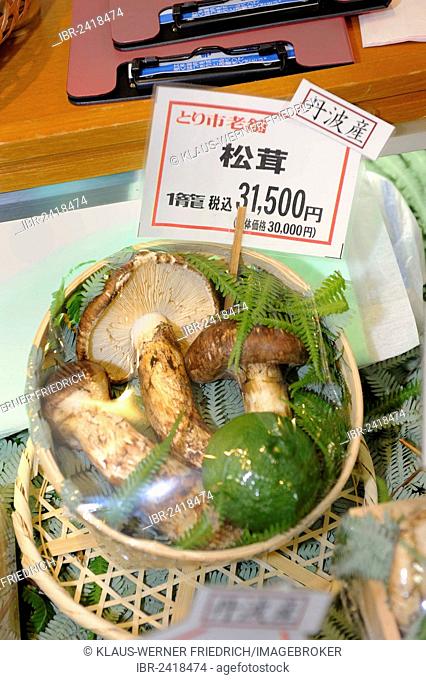 Matsutake, the most expensive edible mushroom, here offered wrapped as a gift in a deli, Kyoto, Japan, East Asia, Asia