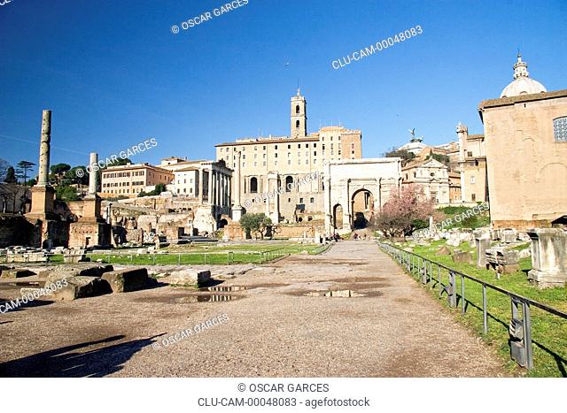 Roman Forum, Rome, Lazio, Italy, Western Europe