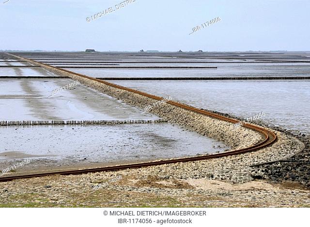 View over mud flats at low tide, the groyne and the Lorendamm dam leading to Hallig Nordstrandischmoor, Schleswig-Holstein Wadden Sea National Park