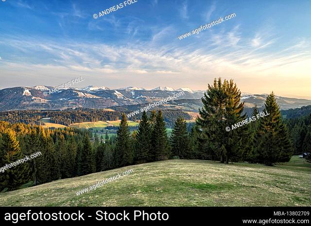 Evening mood in the Oberallgäu. View from Hauchenberg to the Nagelfluhkette with forests and snow-capped mountains. Allgäu Alps, Bavaria, Germany, Europe