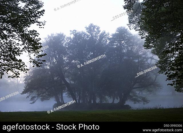 Stockholm, Sweden, Rays of dawn light shine through trees in the Drottningholm park