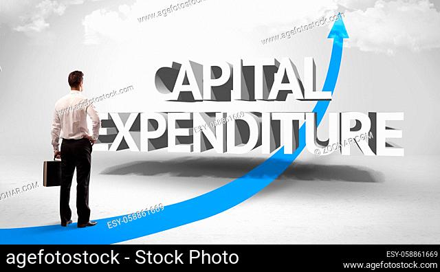 Rear view of a businessman standing in front of CAPITAL EXPENDITURE inscription, successful business concept