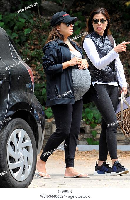 Eva Longoria shows off her massive baby bump while out for a lunch picnic with friends at the Tree People in Beverly Hills a day after her beloved dog Jinxy's...