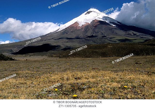 Ecuador, Cotopaxi Volcano, 5897 m