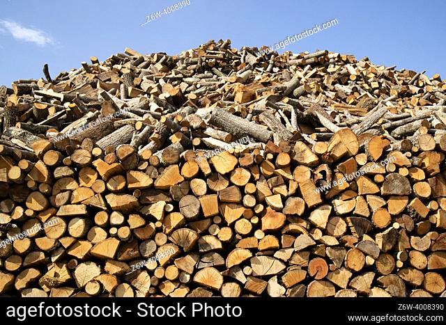 Photographic documentation of a large pile of firewood in reserve for the winter