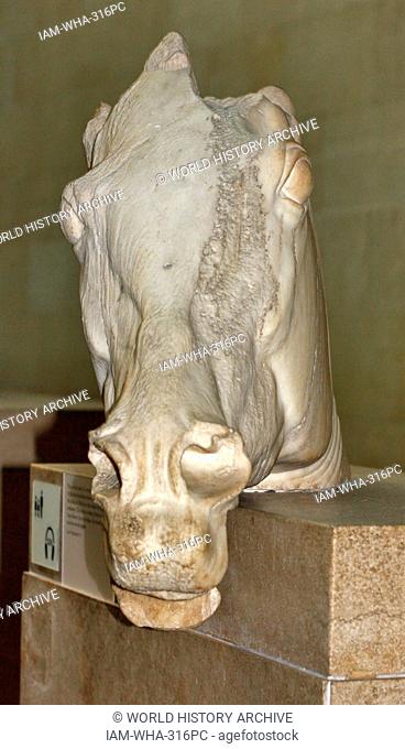 Statue of a horses head from the chariot of the moon-goddess Selene. Acropolis, Athens, 438-432 BC. From the east pediment of the Parthenon