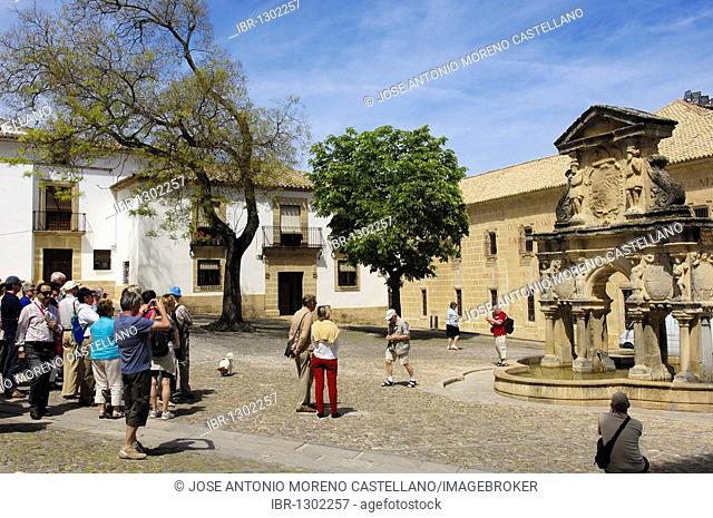 Seminario de San Felipe Neri and fountain at Santa María's square, 16th century, Baeza, Jaen province, Andalusia, Spain, Europe