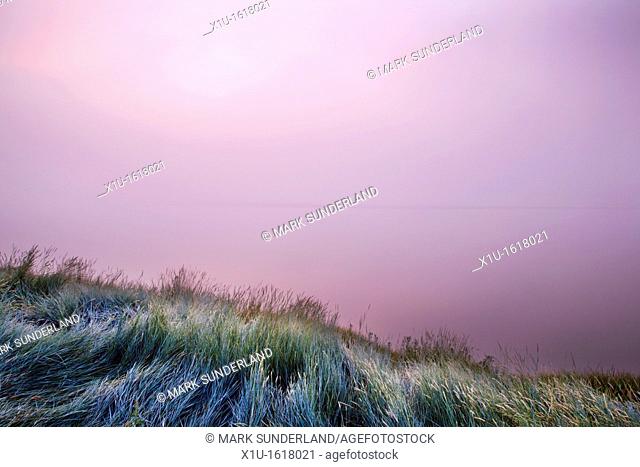 Grasses and Twilight on a Misty Morning at Newnham Gloucestershire England
