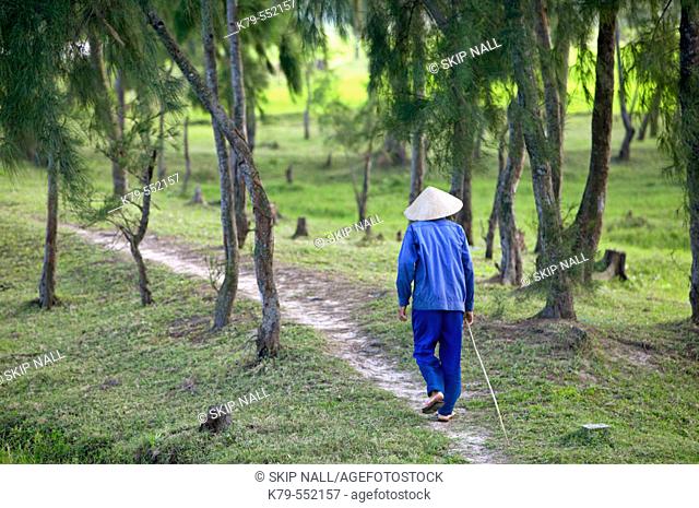 Vietnamese man walking in the woods near Hoi An