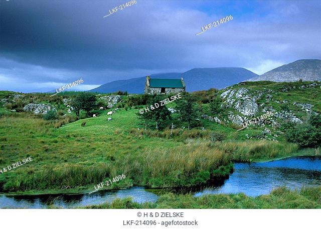 Europe, Great Britain, Ireland, Co. Galway, Connemara, cottage near Maam Cross
