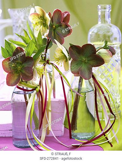 Lenten roses in glass bottles decorated with ribbons