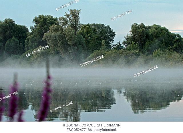 Bruchsee, Lake and fog