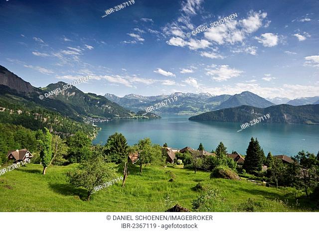 View over Lake Lucerne, near Weggis, Canton of Lucerne, Switzerland, Europe