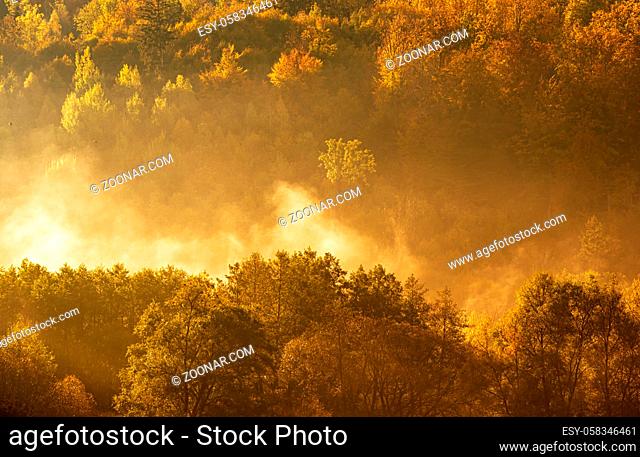 Lake fog landscape with Autumn foliage and tree reflections in Styria, Thal, Austria. Autumn season theme
