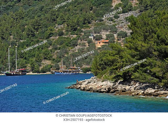 the coast around Vela Luka, Korcula island, Croatia, Southeast Europe