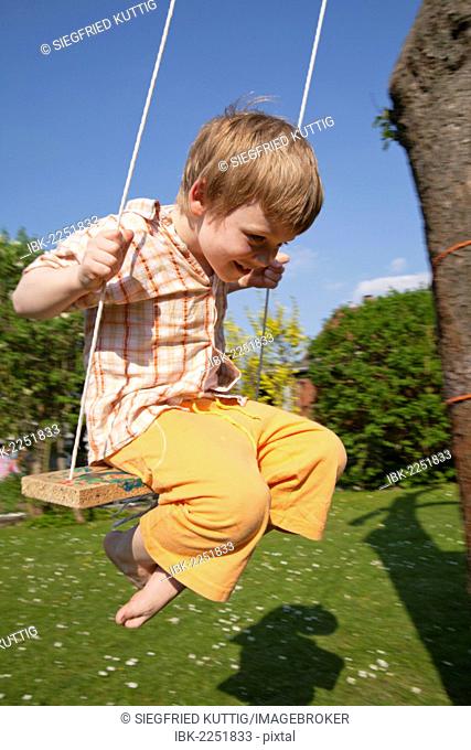 Little boy on a swing
