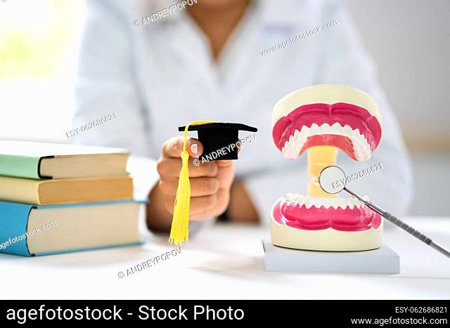 Dentist Doctor Degree. School Money And Education Concept