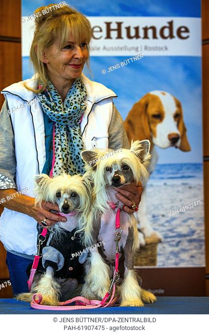 Two Chinese Crested dogs by Shinbashi named Kunai (R) and Mili (L) are presented by breeder Annerose Demski during a press conference of the 12th...