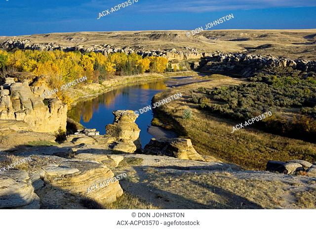 Sandstone hoodoos in Milk River Valley with fall cottonwoods, Writing-On-Stone Provincial Park, alberta, canada